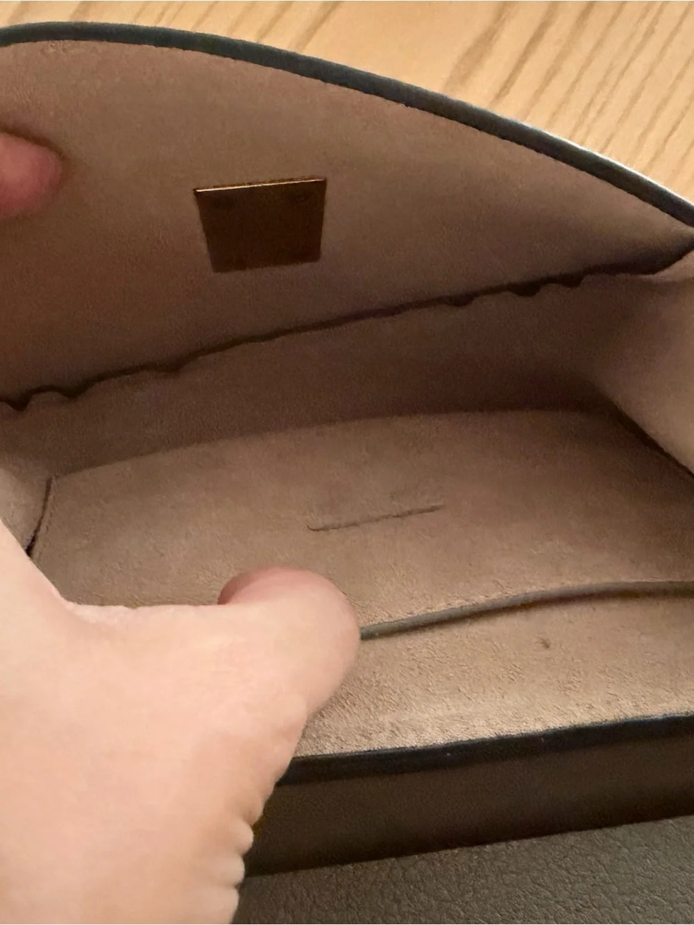 Chloe Drew Leather Crossbody Bag